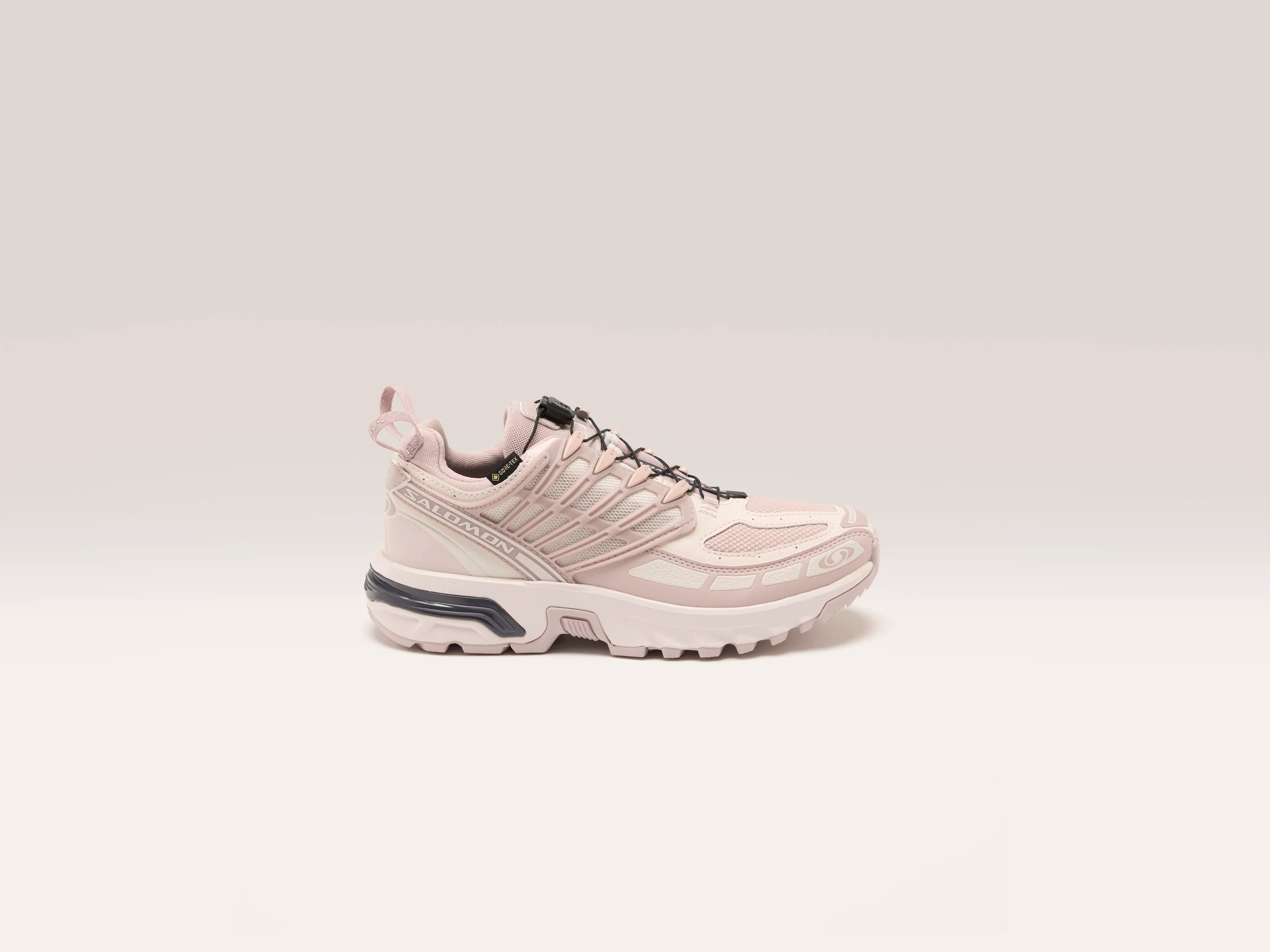 Acs Pro Gore-tex for Women (242 / W / LILAC)